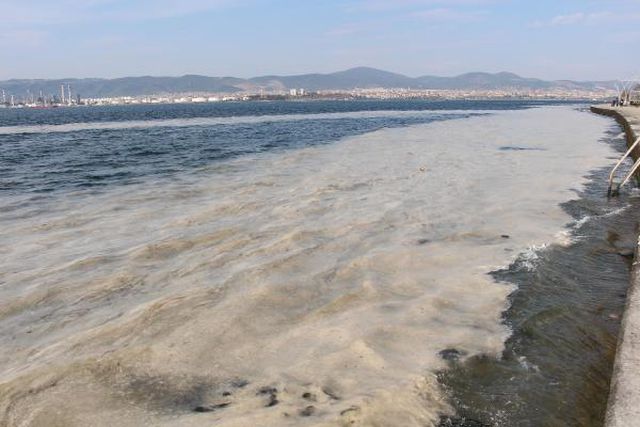 izmit korfezi nde deniz salyasi alarmi 10 14040459 o