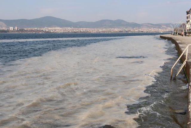 izmit korfezi nde deniz salyasi alarmi 12 14040459 o
