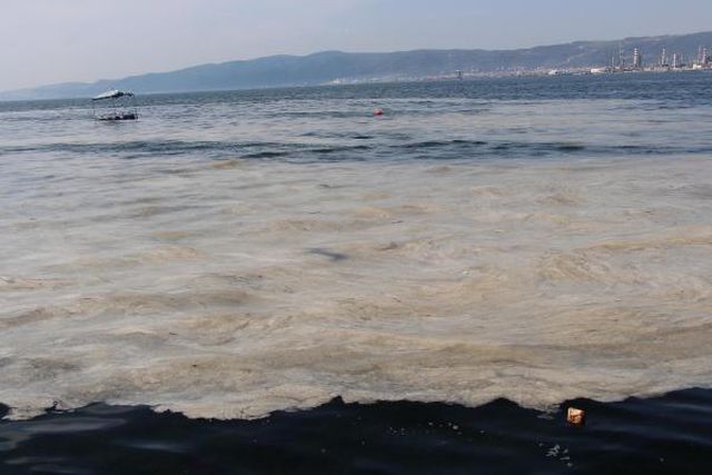 izmit korfezi nde deniz salyasi alarmi 14040459 o