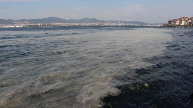 izmit korfezi nde deniz salyasi alarmi 2 14040459 o