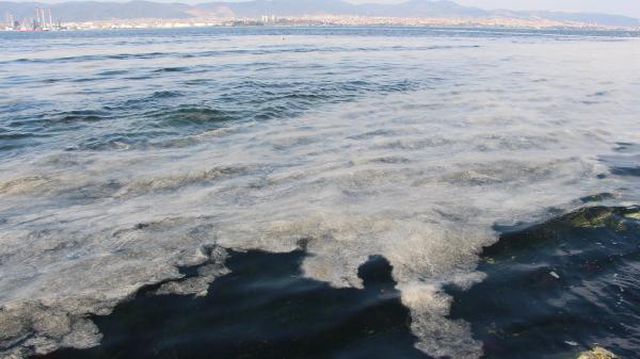 izmit korfezi nde deniz salyasi alarmi 3 14040459 o