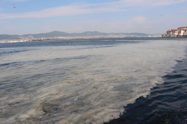 izmit korfezi nde deniz salyasi alarmi 4 14040459 o