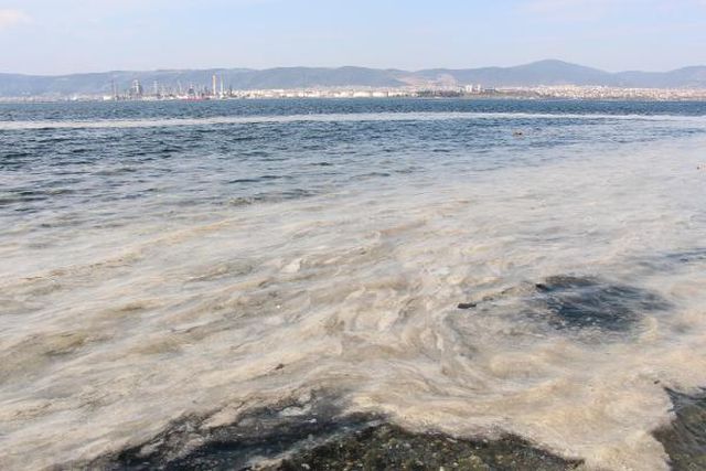 izmit korfezi nde deniz salyasi alarmi 6 14040459 o