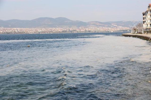 izmit korfezi nde deniz salyasi alarmi 7 14040459 o