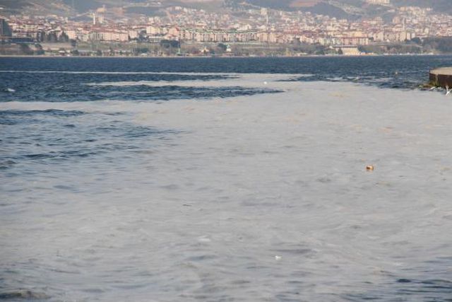 izmit korfezi nde deniz salyasi alarmi 8 14040459 o