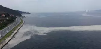 Kocaeli Büyükşehir Belediyesi: İzmit Körfezi'nde deniz salyası beyaz tabaka oluşturdu (2) Kocaeli Büyükşehir Belediyesi: İzmit Körfezi'nde deniz salyası beyaz tabaka oluşturdu (2)