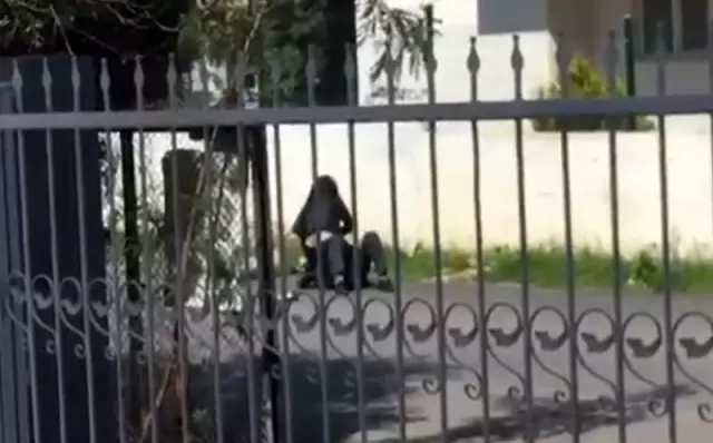 Kadın yere yatırdığı erkeği 'paramı ver diye' dövdü Kadın yere yatırdığı erkeği 'paramı ver diye' dövdü