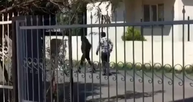 Kadın yere yatırdığı erkeği 'paramı ver diye' dövdü Kadın yere yatırdığı erkeği 'paramı ver diye' dövdü