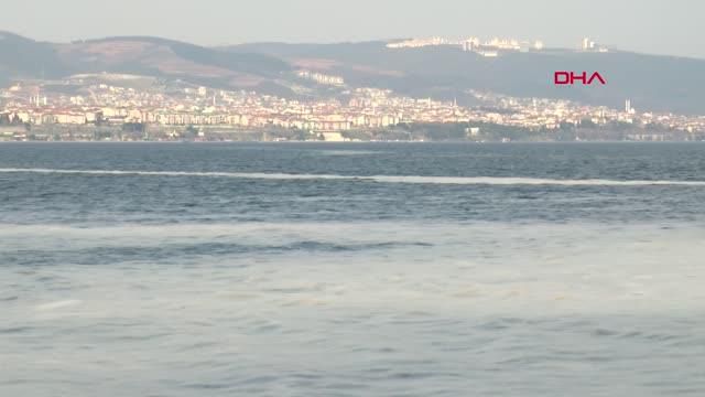 kocaeli izmit korfezi nde deniz salyasi alarm 14040459 o