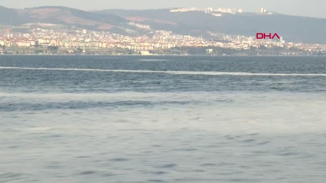 kocaeli izmit korfezi nde deniz salyasi alarm 2 14040459 o