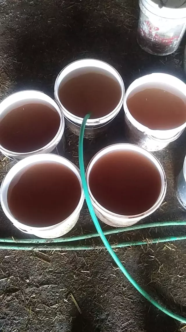 Limonata değil şebeke suyu Limonata değil şebeke suyu