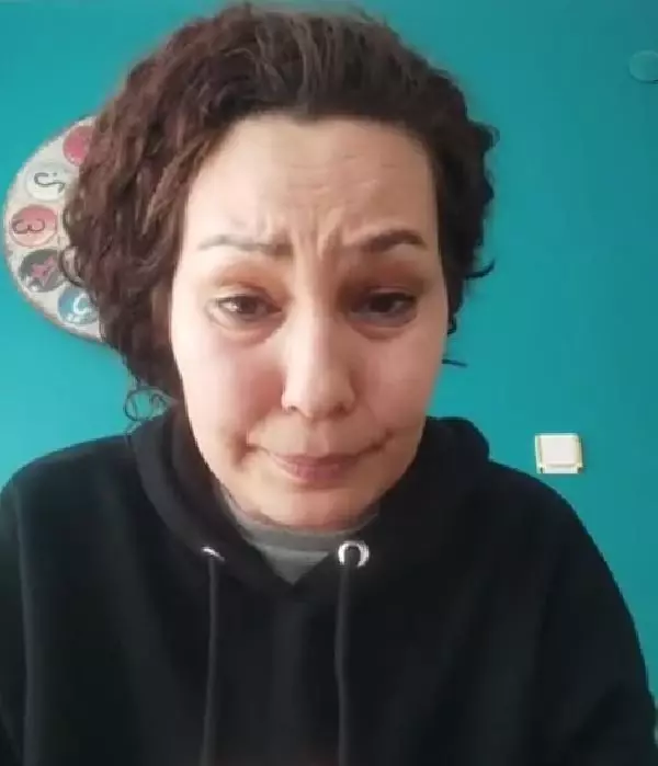 Norveç orman kedilerinin izinsiz üretim ve satışına ceza Norveç orman kedilerinin izinsiz üretim ve satışına ceza