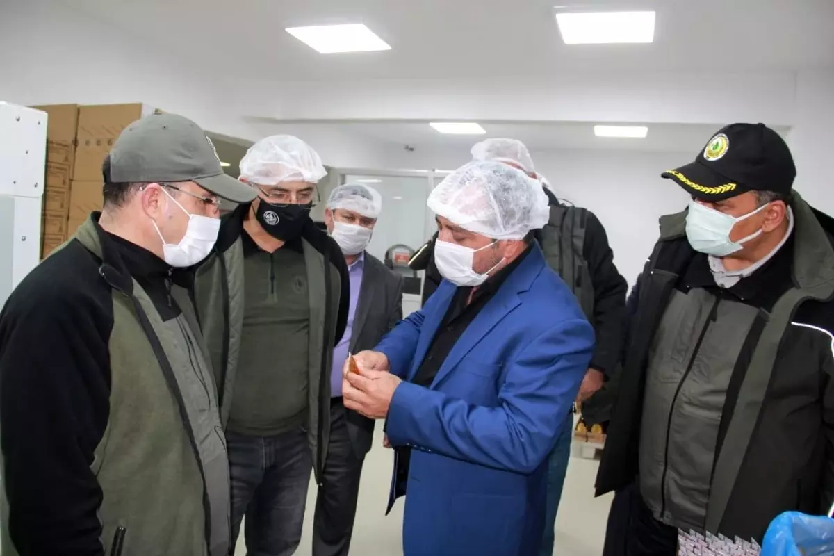 Adana'ya bal ormanları kurulacak