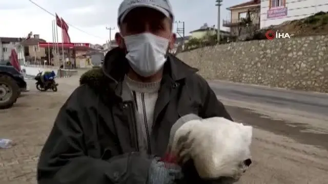 Bursa'da duyarlı çiftçi kanadı kırık leyleği yetkililere teslim etti Bursa'da duyarlı çiftçi kanadı kırık leyleği yetkililere teslim etti