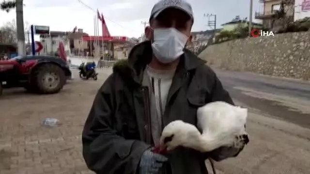Bursa'da duyarlı çiftçi kanadı kırık leyleği yetkililere teslim etti Bursa'da duyarlı çiftçi kanadı kırık leyleği yetkililere teslim etti