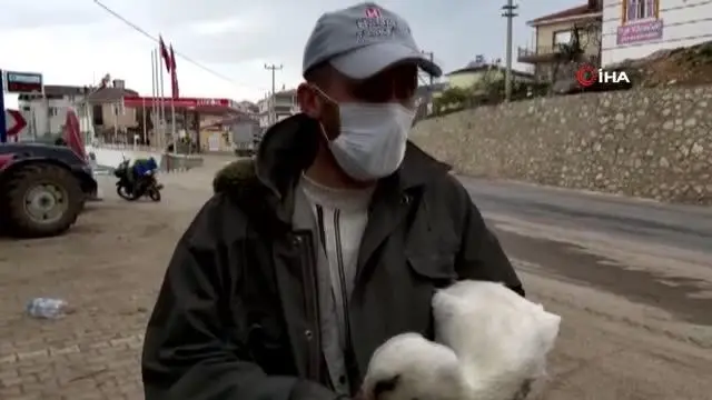 Bursa'da duyarlı çiftçi kanadı kırık leyleği yetkililere teslim etti Bursa'da duyarlı çiftçi kanadı kırık leyleği yetkililere teslim etti