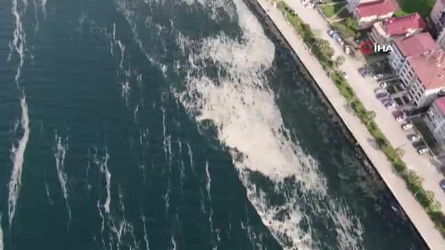 deniz salyasi izmit korfezi ni beyaza burudu 14041610 o