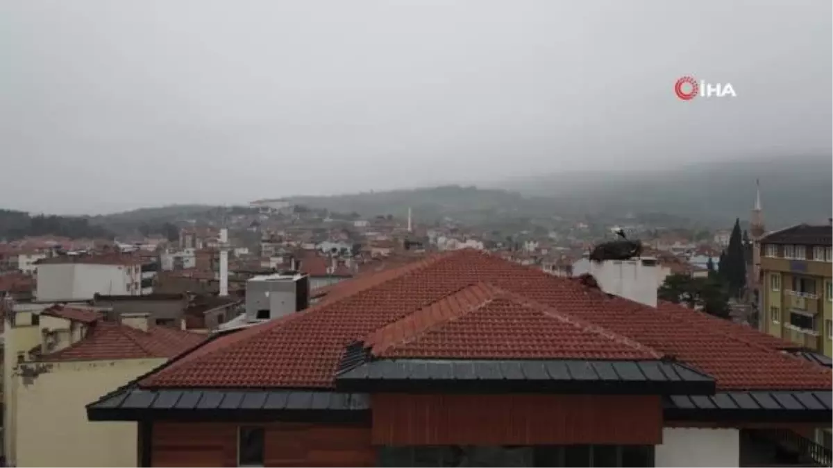 Göç yolundaki leylekler Sındırgı'da mola verdi
