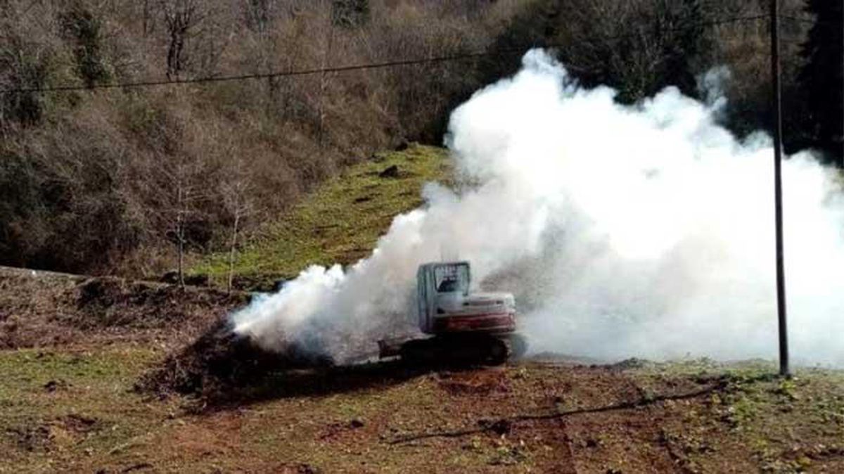 Karadeniz'i istila eden 'drakula', fındık üreticilerini mağdur etti