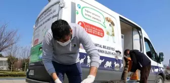 Kartal Belediyesi: Kartal'da sokak hayvanları için çeşitli noktalara mama ve su bırakıldı Kartal Belediyesi: Kartal'da sokak hayvanları için çeşitli noktalara mama ve su bırakıldı