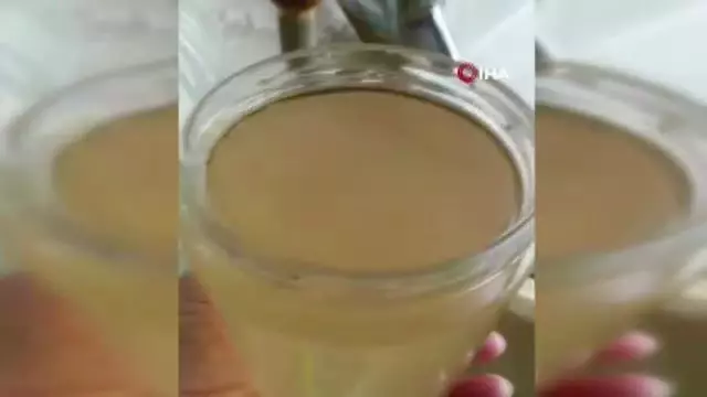 Limonata değil şebeke suyu: Hayvanlar bile içemedi Limonata değil şebeke suyu: Hayvanlar bile içemedi