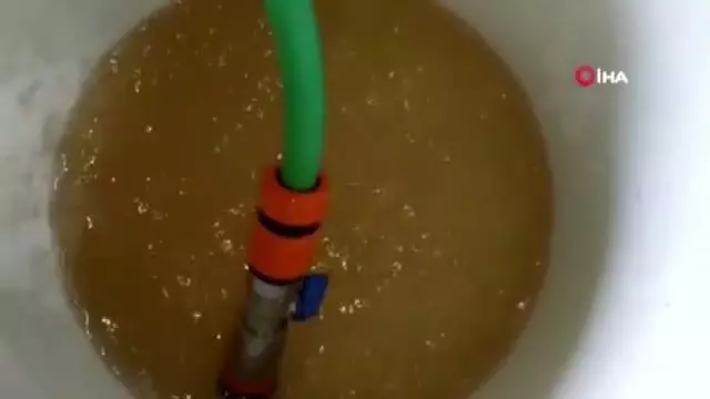Limonata değil şebeke suyu: Hayvanlar bile içemedi Limonata değil şebeke suyu: Hayvanlar bile içemedi