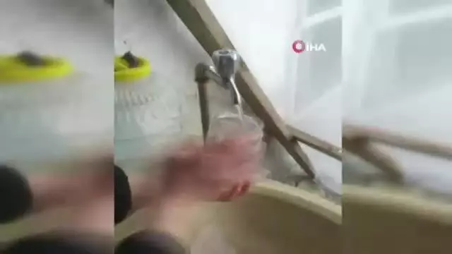 Limonata değil şebeke suyu: Hayvanlar bile içemedi Limonata değil şebeke suyu: Hayvanlar bile içemedi