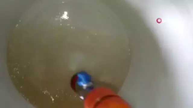 Limonata değil şebeke suyu: Hayvanlar bile içemedi Limonata değil şebeke suyu: Hayvanlar bile içemedi