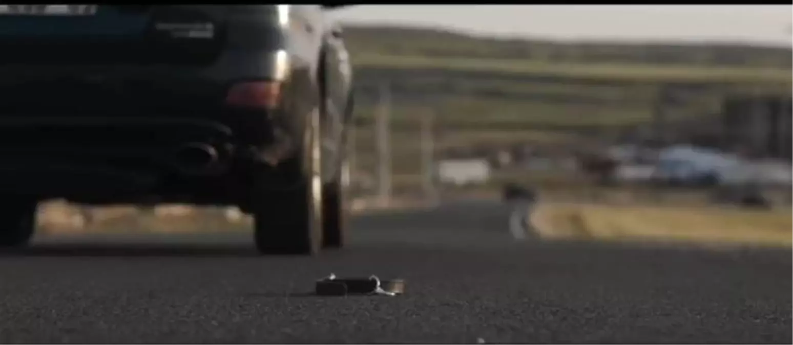 Mardin'de '4 Nisan Sokak Hayvanlarını Koruma Günü farkındalık dolu olsun' sloganıyla kısa film çekildi