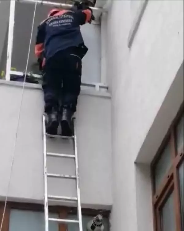 SİLİVRİ'DE AYAĞI KOPMAK ÜZERE OLAN GÜVERCİNİ İTFAİYE KURTARDI SİLİVRİ'DE AYAĞI KOPMAK ÜZERE OLAN GÜVERCİNİ İTFAİYE KURTARDI