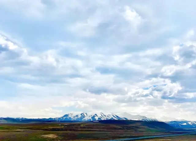 Ağrı'da İlkbahar renk cümbüşü oluşturdu Ağrı'da İlkbahar renk cümbüşü oluşturdu