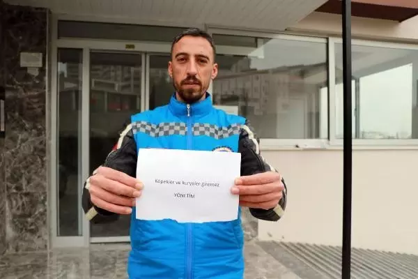 APARTMANIN GİRİŞİNDEKİ 'KÖPEKLER VE KURYELER GİREMEZ' YAZISINA TEPKİ APARTMANIN GİRİŞİNDEKİ 'KÖPEKLER VE KURYELER GİREMEZ' YAZISINA TEPKİ