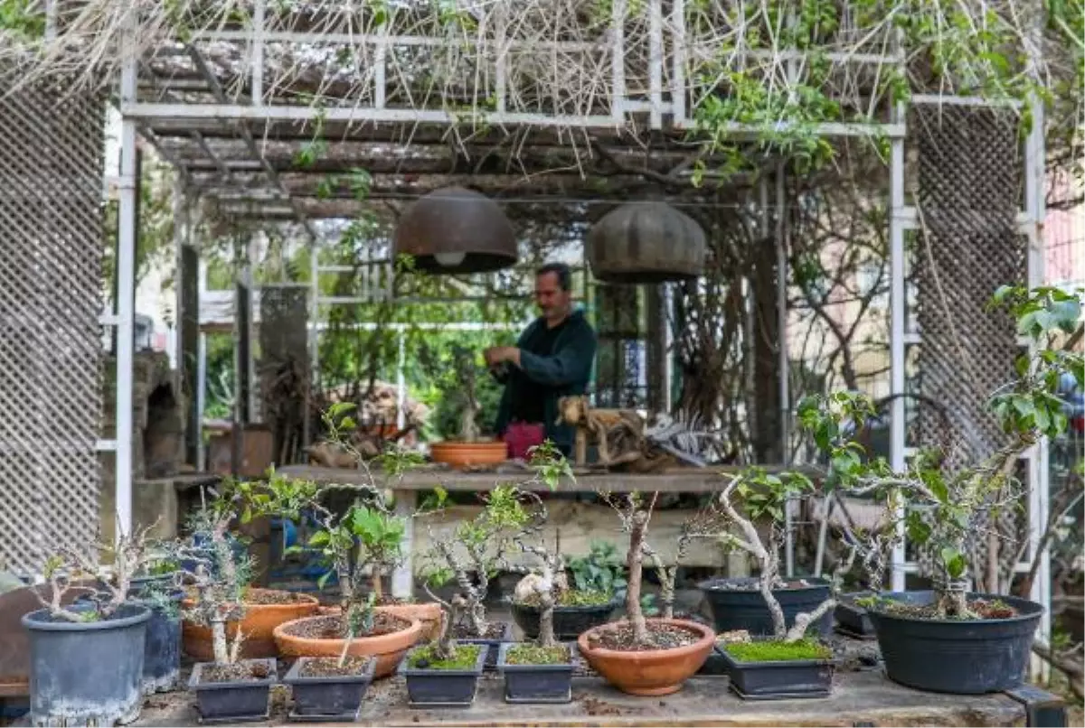 Doğadan topladığı tahta parçalarıyla heykeller yapıyor! Müşterileri arasında Rahmi Koç ve Ali Koç bile var