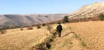 Mahmut Demirtaş: Mardin Büyükşehir Belediyesinden tarımsal kalkınmayı destekleyecek proje Mahmut Demirtaş: Mardin Büyükşehir Belediyesinden tarımsal kalkınmayı destekleyecek proje