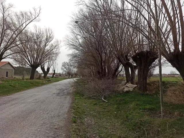 Şuhut'ta şiddetli rüzgâr çatıları uçurdu, ağaçları devirdi Şuhut'ta şiddetli rüzgâr çatıları uçurdu, ağaçları devirdi
