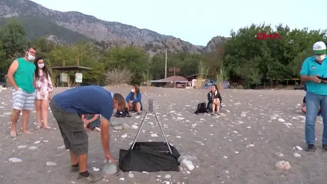 ANTALYA CARETTA CARETTALARIN YUVADAN ÇIKIŞ SÜRESİ, İKLİM DEĞİŞİKLİĞİ NEDENİYLE 47 GÜNE DÜŞTÜ ANTALYA CARETTA CARETTALARIN YUVADAN ÇIKIŞ SÜRESİ, İKLİM DEĞİŞİKLİĞİ NEDENİYLE 47 GÜNE DÜŞTÜ