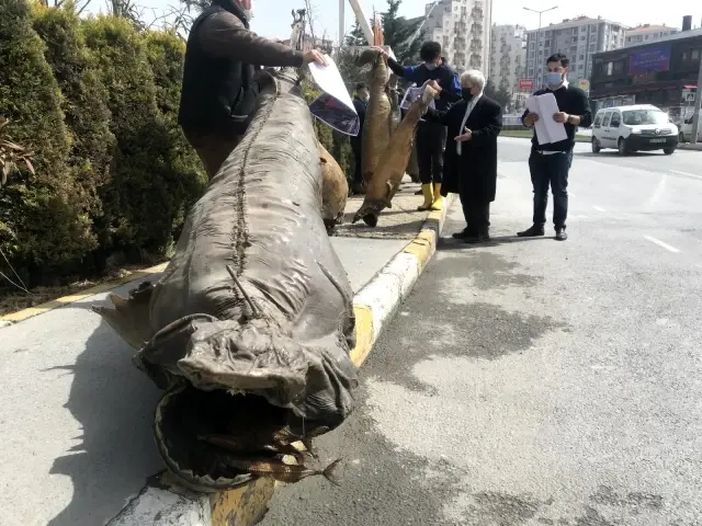Beylikdüzü Belediyesi'nden ücretsiz müzeye yıkım skandalı Beylikdüzü Belediyesi'nden ücretsiz müzeye yıkım skandalı