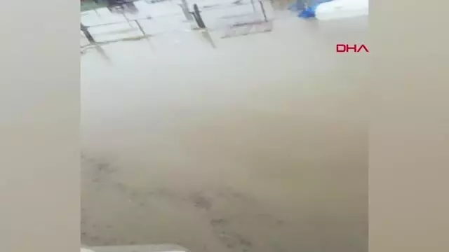 BURSA'DA ÇİFTLİĞİ SU BASTI, KUZULAR İŞ MAKİNESİYLE KURTARILDI BURSA'DA ÇİFTLİĞİ SU BASTI, KUZULAR İŞ MAKİNESİYLE KURTARILDI