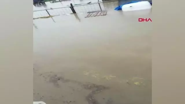 BURSA'DA ÇİFTLİĞİ SU BASTI, KUZULAR İŞ MAKİNESİYLE KURTARILDI BURSA'DA ÇİFTLİĞİ SU BASTI, KUZULAR İŞ MAKİNESİYLE KURTARILDI