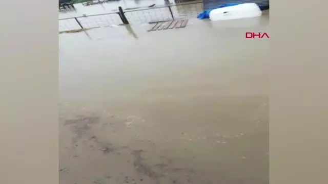 BURSA'DA ÇİFTLİĞİ SU BASTI, KUZULAR İŞ MAKİNESİYLE KURTARILDI BURSA'DA ÇİFTLİĞİ SU BASTI, KUZULAR İŞ MAKİNESİYLE KURTARILDI