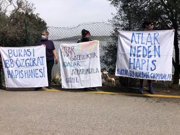 Büyükada'da İSPARK ahırlarındaki atların özgür bırakılması için eylem yapıldı Büyükada'da İSPARK ahırlarındaki atların özgür bırakılması için eylem yapıldı
