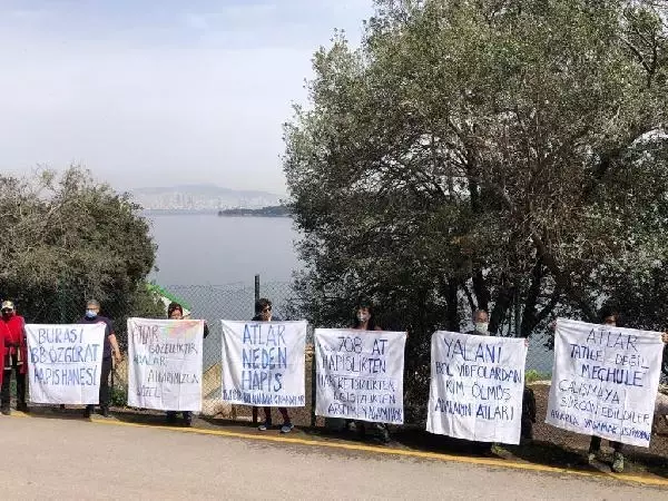 Büyükada'da İSPARK ahırlarındaki atların özgür bırakılması için eylem yapıldı Büyükada'da İSPARK ahırlarındaki atların özgür bırakılması için eylem yapıldı