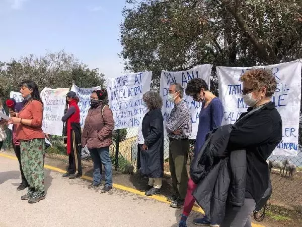 Büyükada'da İSPARK ahırlarındaki atların özgür bırakılması için eylem yapıldı Büyükada'da İSPARK ahırlarındaki atların özgür bırakılması için eylem yapıldı