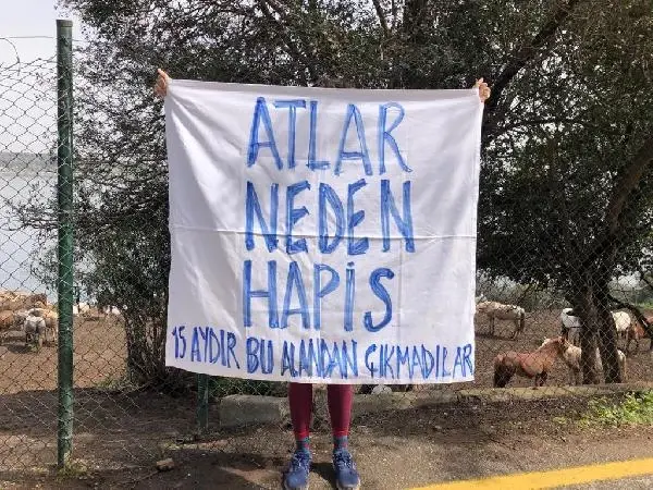 Büyükada'da İSPARK ahırlarındaki atların özgür bırakılması için eylem yapıldı Büyükada'da İSPARK ahırlarındaki atların özgür bırakılması için eylem yapıldı