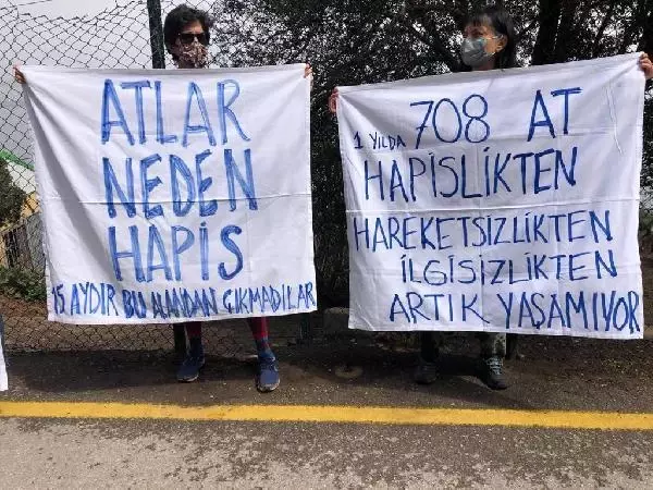 Büyükada'da İSPARK ahırlarındaki atların özgür bırakılması için eylem yapıldı Büyükada'da İSPARK ahırlarındaki atların özgür bırakılması için eylem yapıldı