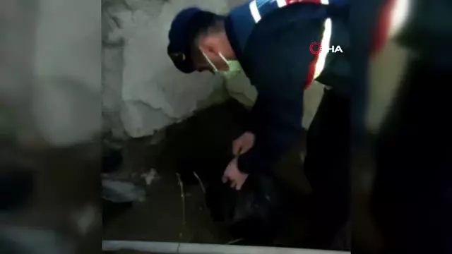Çaldıkları sigara paketlerini toprağa gömdüler Çaldıkları sigara paketlerini toprağa gömdüler