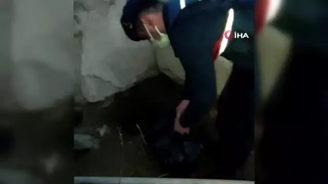 Çaldıkları sigara paketlerini toprağa gömdüler Çaldıkları sigara paketlerini toprağa gömdüler