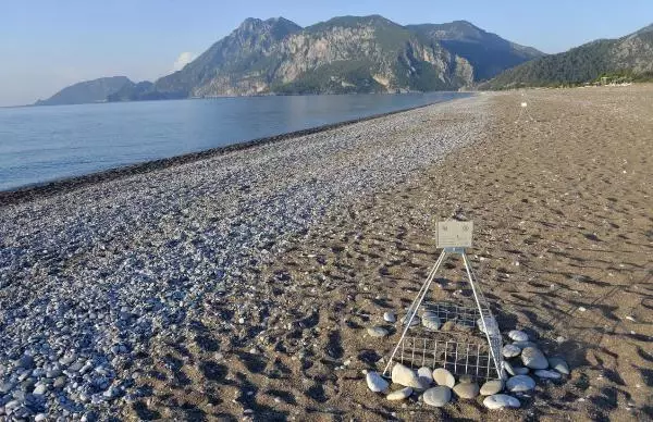 ANTALYA CARETTA CARETTALARIN YUVADAN ÇIKIŞ SÜRESİ, İKLİM DEĞİŞİKLİĞİ NEDENİYLE 47 GÜNE DÜŞTÜ ANTALYA CARETTA CARETTALARIN YUVADAN ÇIKIŞ SÜRESİ, İKLİM DEĞİŞİKLİĞİ NEDENİYLE 47 GÜNE DÜŞTÜ