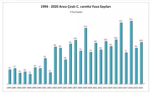 ANTALYA CARETTA CARETTALARIN YUVADAN ÇIKIŞ SÜRESİ, İKLİM DEĞİŞİKLİĞİ NEDENİYLE 47 GÜNE DÜŞTÜ ANTALYA CARETTA CARETTALARIN YUVADAN ÇIKIŞ SÜRESİ, İKLİM DEĞİŞİKLİĞİ NEDENİYLE 47 GÜNE DÜŞTÜ
