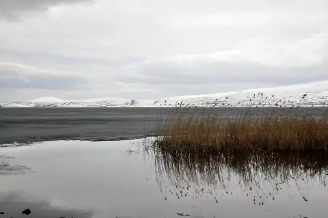 Buzları çözülmeye başlayan Çıldır Gölü'nde mest eden görüntüler Buzları çözülmeye başlayan Çıldır Gölü'nde mest eden görüntüler